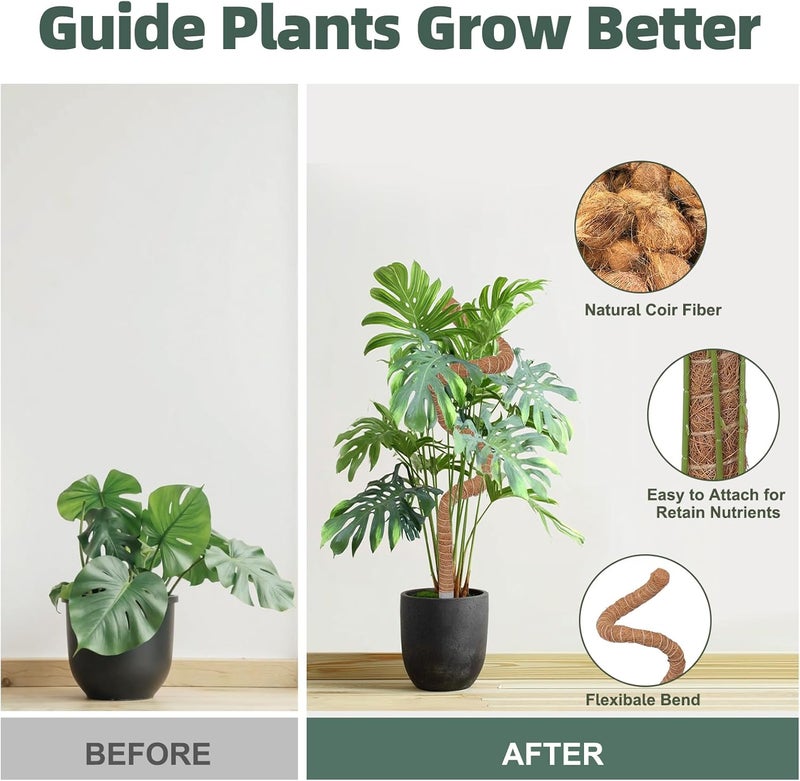 LIFENEST 3 Pack Moss Pole, 30 Inch Monstera Plant Support， Moss Poles for Climbing Plants Indoor DIY, Coco Coir Plant Pole Moss Plant Stick Support Stake Kit for Potted Plants, Pothos, Philodendron - Image 4